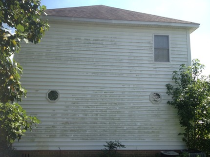 A before picture of a home with severe mildew, algae, mold growing on the siding.  We will soft wash this house