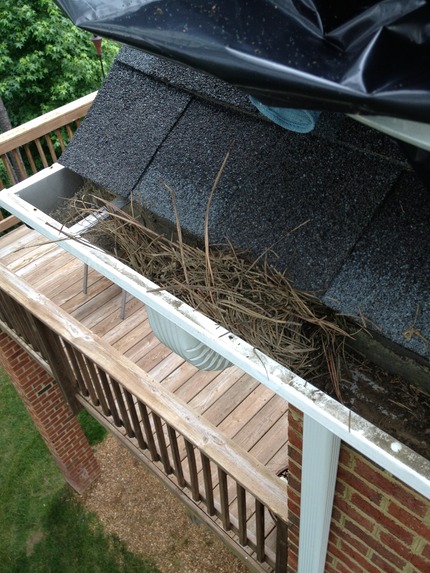 Marc’s on the Glass gutter cleaning in chesterfield va